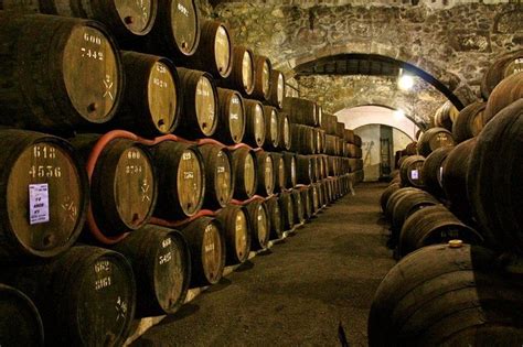 Porto Wine Tour with Tasting and Wine Houses Visit 2024