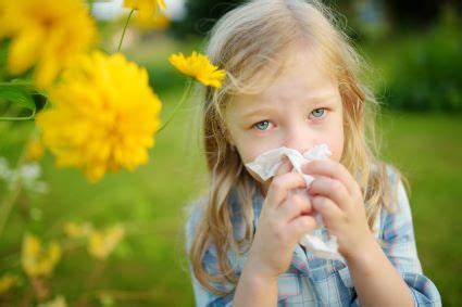 Summer Allergies are Real | Iowa ENT Center