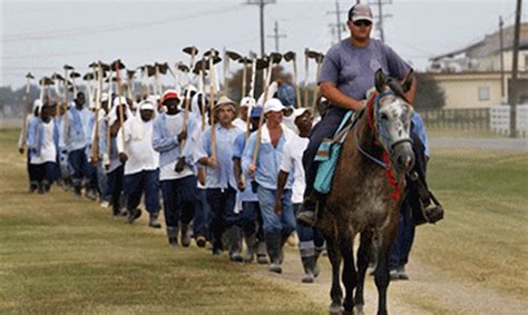 THE FARM: ANGOLA, USA | Stranger than Fiction