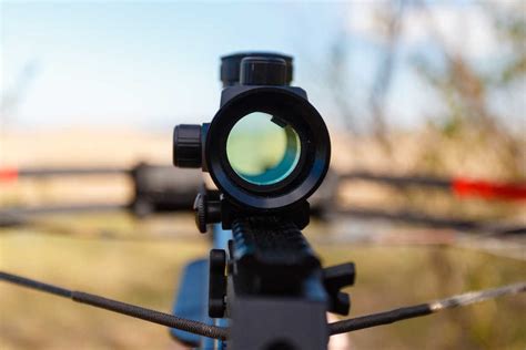 9 Best Crossbow Scopes 2023 [Garmin, Vortex, Burris & More]