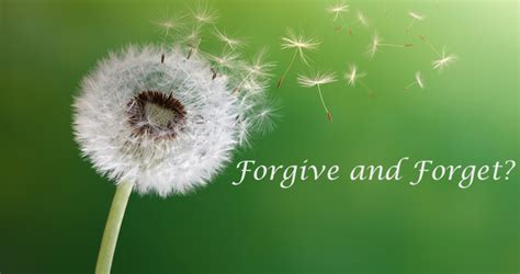 Quotes Forgive And Forget. QuotesGram