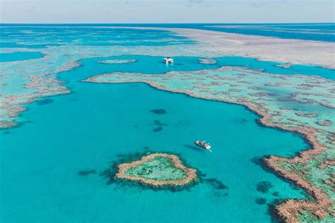 Experience Heart Reef On the Great Barrier Reef | Queensland