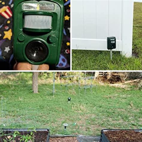 6 of the Best Ultrasonic Bird Repellers: Keeping Your Home Bird-Free in ...