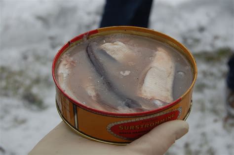 File:Surströmming-Neuerkirch05.jpg - Wikimedia Commons