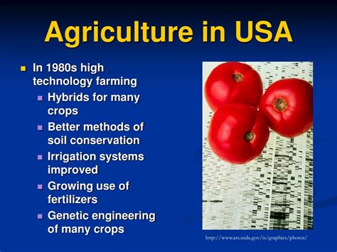 PPT - History of Agriculture PowerPoint Presentation, free download ...