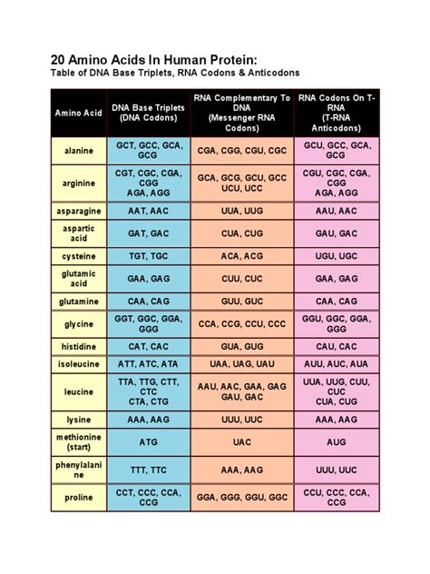 Anticodon Chart