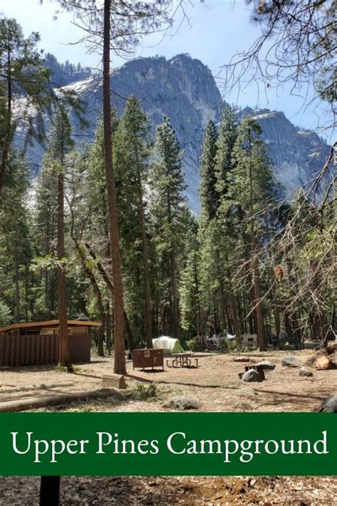 What to expect when camping in Upper Pines Campground in Yosemite National Park, Californ ...