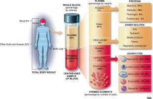 Laboratory Values 임상검사 수치 : 네이버 블로그