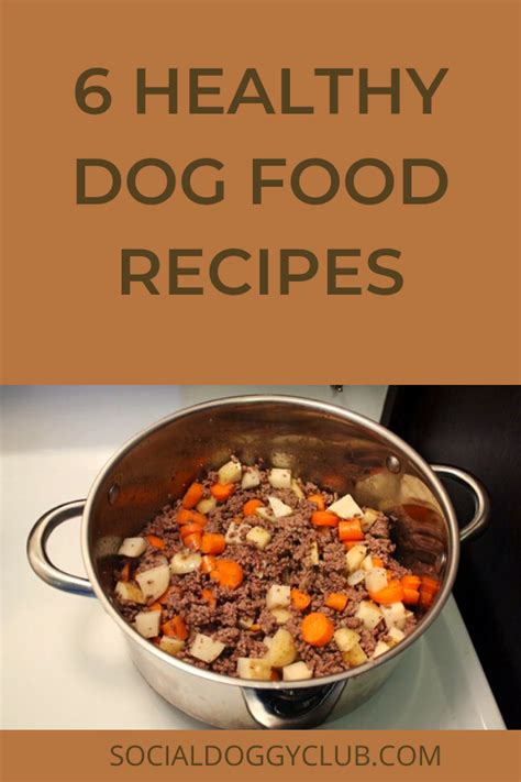 6 healthy dog food recipes are perfect for busy owners – Artofit