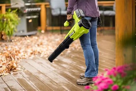 Are Cordless Leaf Blowers as Powerful as Corded Leaf Blowers? - A Blog ...