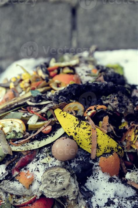 organic waste 808933 Stock Photo at Vecteezy