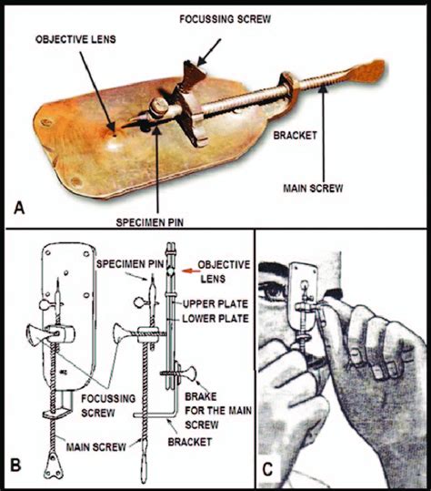 Leeuwenhoek's microscope. | Download Scientific Diagram