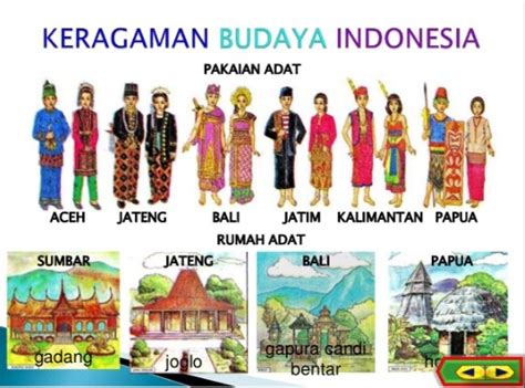 Pakaian Adat 34 Provinsi / Pakaian Adat di Indonesia 34 Provinsi 🇮🇩 ...