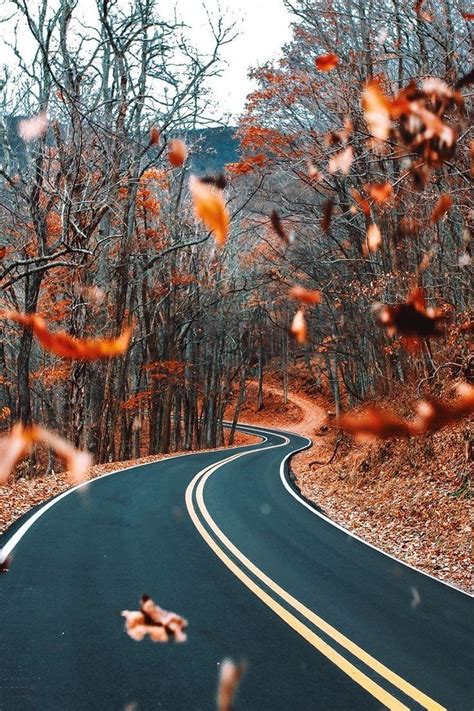 Aesthetic Autumn Wallpapers - Wallpaper Cave