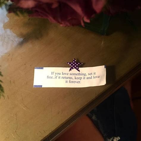 I love fortune cookie quotes. I used to use them as photo captions ...