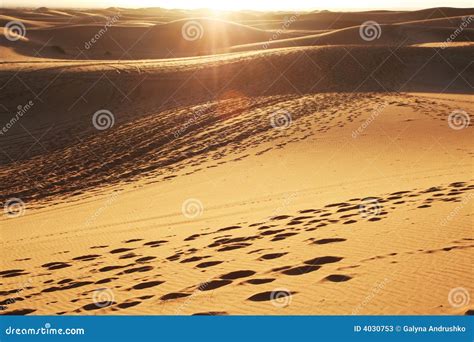 Sahara desert on sunset stock image. Image of person, ripple - 4030753