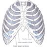 Pathology Outlines - Anatomy, history, grossing & features to report