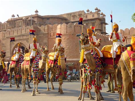 Bikaner Camel Festival 2025 - Dates, Schedule, History,