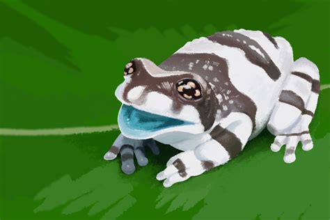 ArtStation - Milk Frog