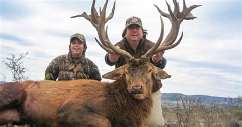 Red Stag Hunting | 18,000 Acres in Texas | 60+ Species | Ox Ranch