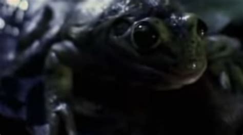 World’s Best Ads Ever #34: Budweiser’s Trio Of Frogs Hits All The Right ...