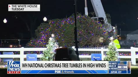 Fox & Friends Delight in White House Christmas Tree Falling