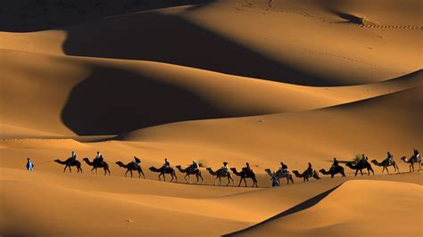 nature, Animals, Landscape, Camels, Morocco, Africa, Sand, Desert, Dune, People, Shadow ...