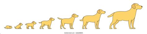 108,166 Growing animals Images, Stock Photos & Vectors | Shutterstock