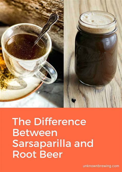 The Difference Between Sarsaparilla and Root Beer