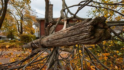 Quebec Storm: What to do when the lights come back on? | CTV News