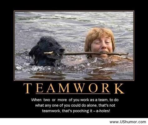 Sunday Giggle: The Power of Teamwork | Work motivational quotes funny, Funny motivational ...