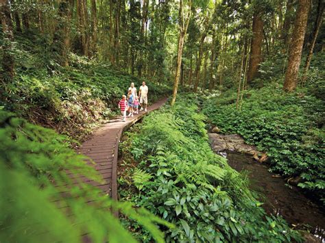 Bunya Mountains - Destination Information - Queensland