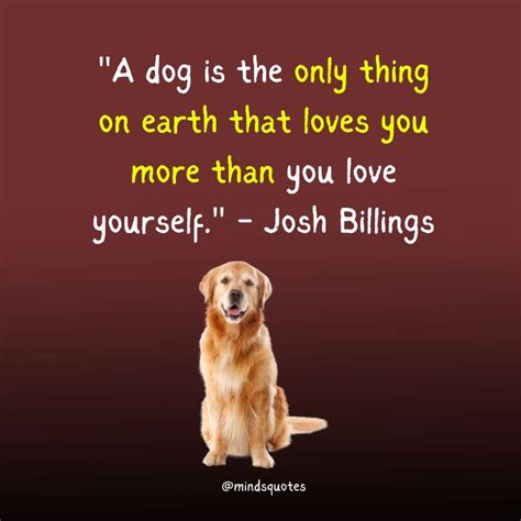 National Take Your Dog To Work Day Quotes, Wishes & Messages (June 23)