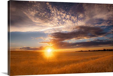 Sunrise Field Wall Art, Canvas Prints, Framed Prints, Wall Peels | Great Big Canvas