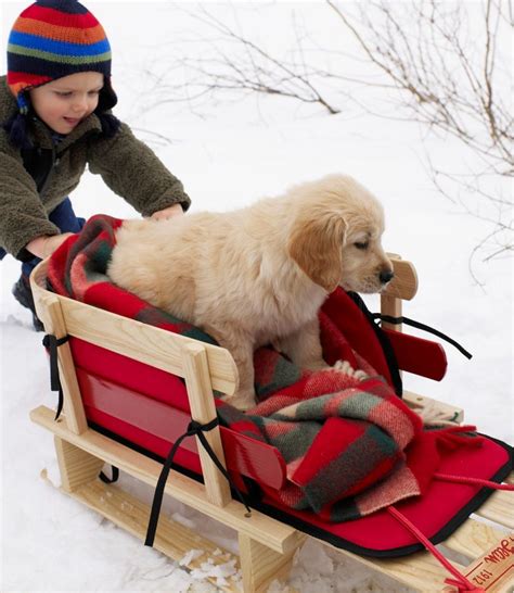 Kids' Pull Sled and Cushion Set | Sleds & Snow Tubes at L.L.Bean | Baby sled, Sled, Snow sled