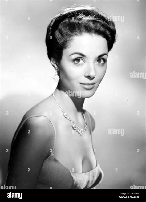 DANA WYNTER (1931-2011) Anglo-German film actress about 1960 Stock Photo - Alamy