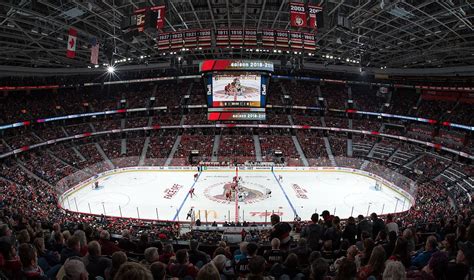 Ottawa Senators - Stadium Dude