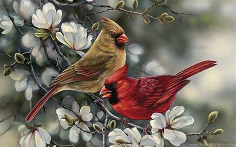 Birds: Cardinal Pair Painting Bird Animal Cardinals Avian Wildlife ... Desktop Background