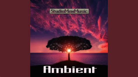 The Ambient Music - YouTube