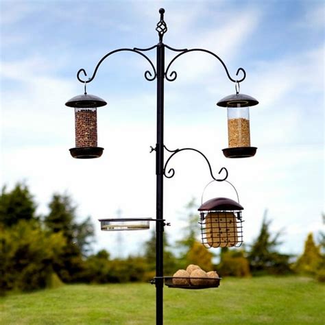 Best Bird Feeder Poles [2022's Top 5 Reviewed] - Birdwatching Buzz