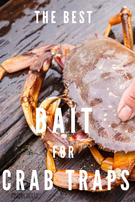 The ultimate guide to learning how to catch crab – Artofit