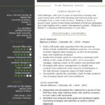 Resume Templates Sales (6) - PROFESSIONAL TEMPLATES | PROFESSIONAL TEMPLATES