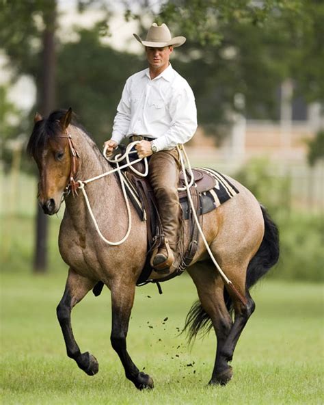 2018 APR 14-15: ALL LEVELS Clinic – Mineral Wells, TX – Roy Cox Canine ...