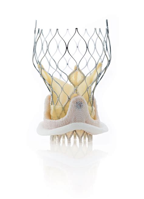 Medtronic CoreValve - Valve in Valve