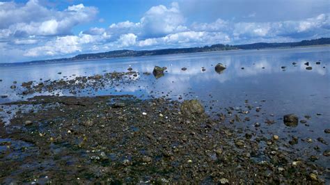 The end of the spit at Penrose Point State Park, Key Peninsula, Washington state. | State parks ...