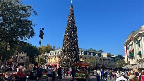 PHOTOS: Christmas Tree Arrives on Main Street, U.S.A. at Disneyland ...