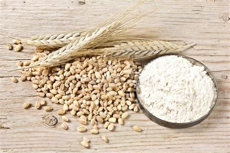 Organic Barley Flour Buy in Bulk from Food to Live