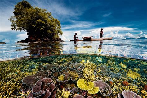 In ‘Two Worlds,’ Split-View Photos Frame the Dual Environments Above and Below the Water’s Surface