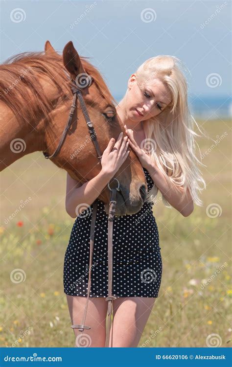 Woman And Bay Gelding Over A Vertical Brick Wall Royalty-Free Stock Image | CartoonDealer.com ...