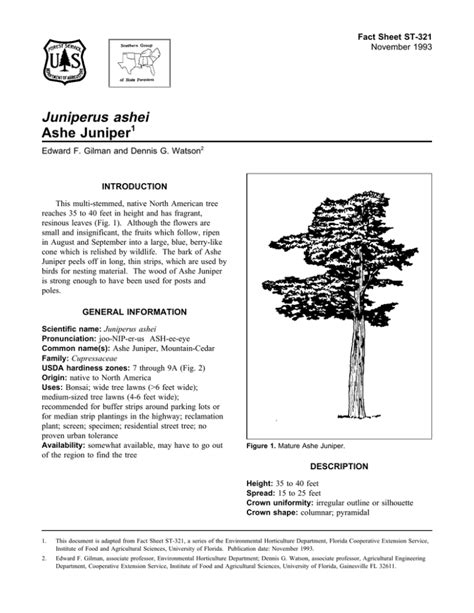 Juniperus ashei Ashe Juniper Fact Sheet ST-321 1